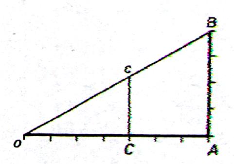 Geometrie Et L Echelle